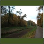 Herbst_2006_264.jpg