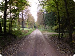Tharandt_075