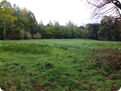 Tharandt_076