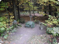 Tharandt_077