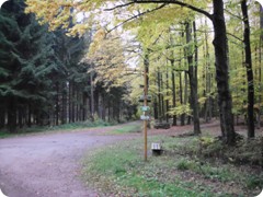 Tharandt_079