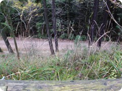Tharandt_083