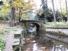 Tharandt_089