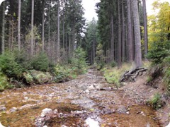 Tharandt_090
