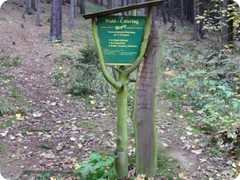 Tharandt_091
