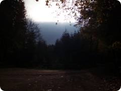 Tharandt_093