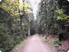 Tharandt_095