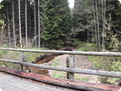 Tharandt_097