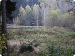 Tharandt_098