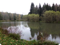 Tharandt_101