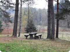 Tharandt_102