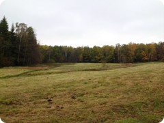 Tharandt_103