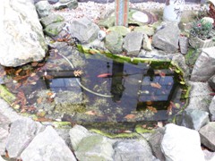 Tharandt_107