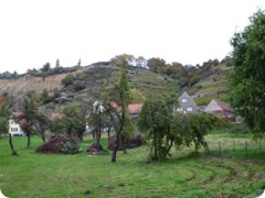 Tharandt_116