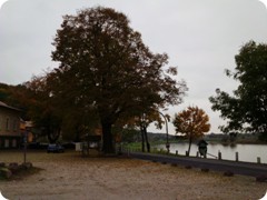 Tharandt_117