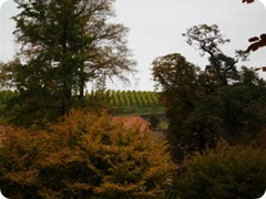 Tharandt_129