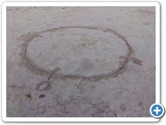 klein_DSCI1675