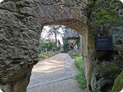 IMG_20210809_103440
