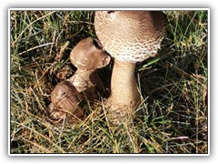 IMG_20211023_111518
