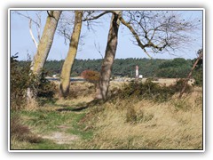 IMG_20211023_114344