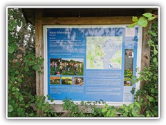 IMG_20220729_103634