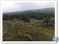 IMG_20231005_121708
