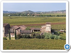 IMG_20231006_114902