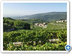IMG_20231009_114443