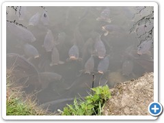 IMG_20230408_154628