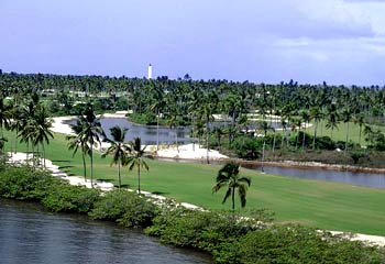 umgebende Landschaft - Coconuts-Road